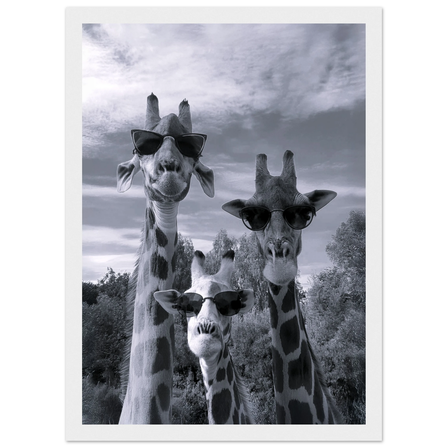 A Sunny Day to be a Giraffe - Poster - Arthena