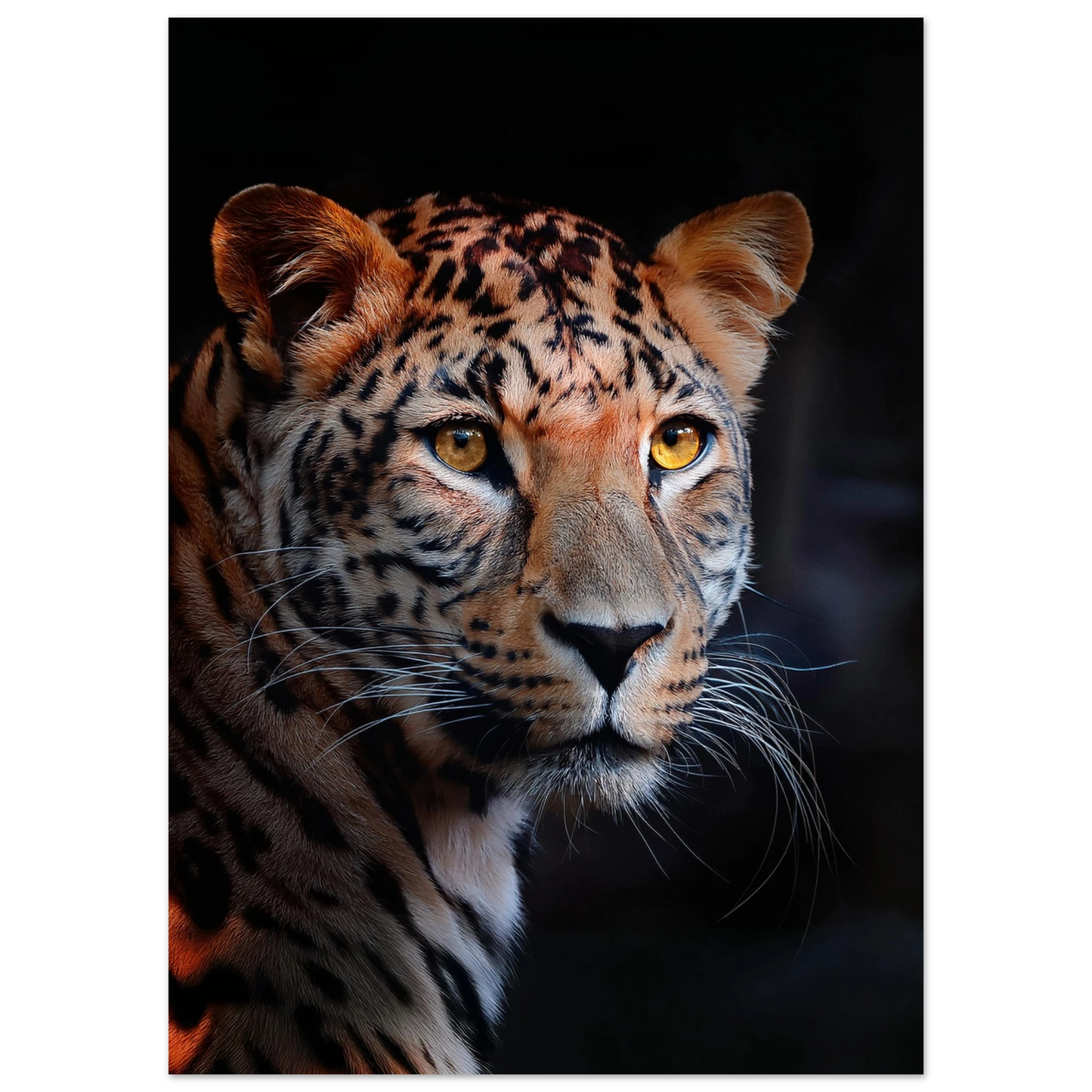 Leopard - Poster - Arthena