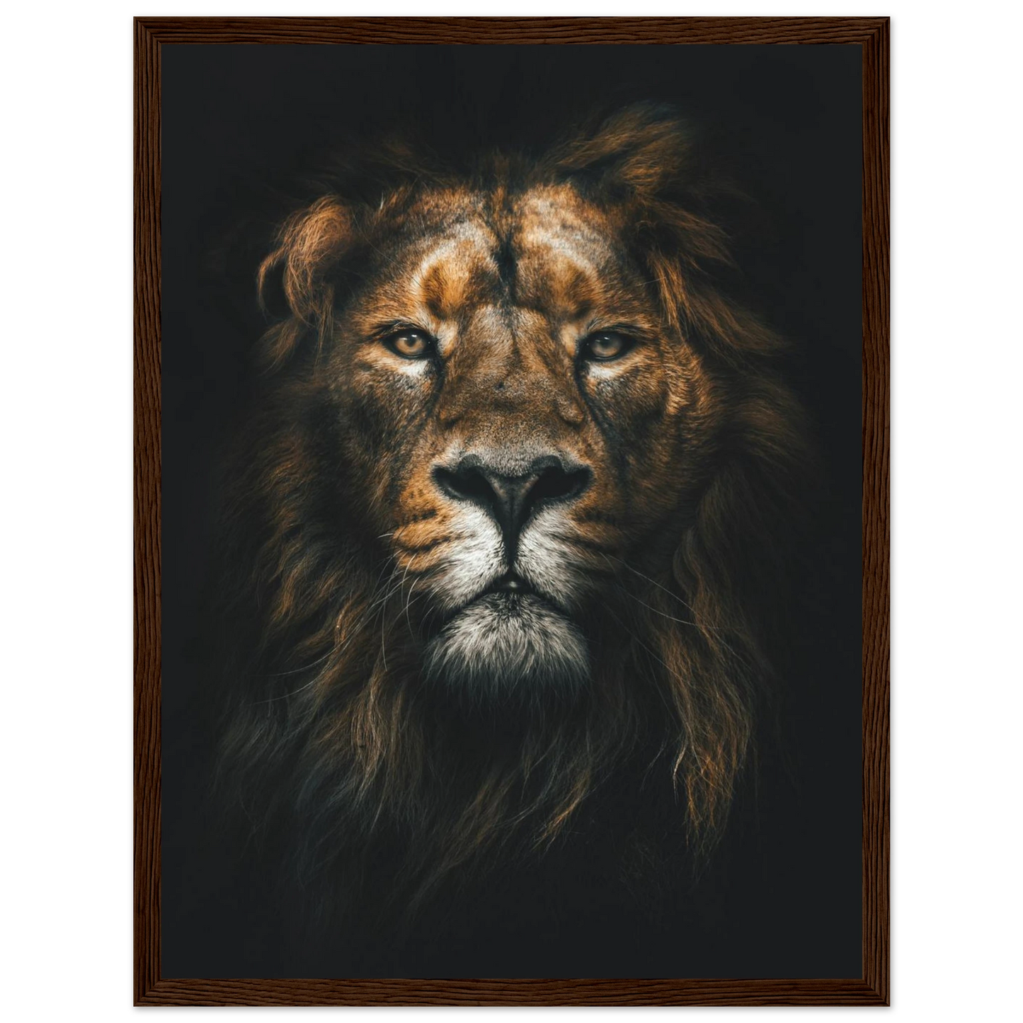 Lion King - Poster - Arthena