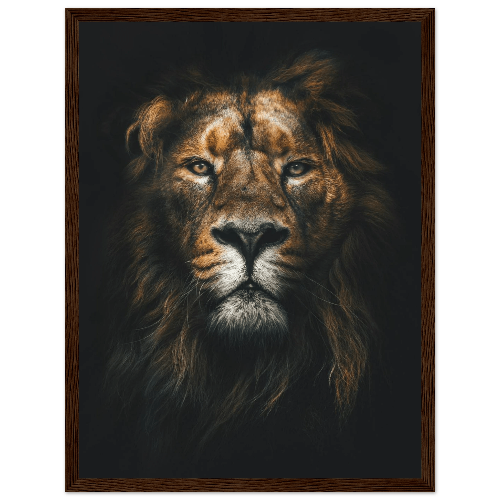 Lion King - Poster - Arthena