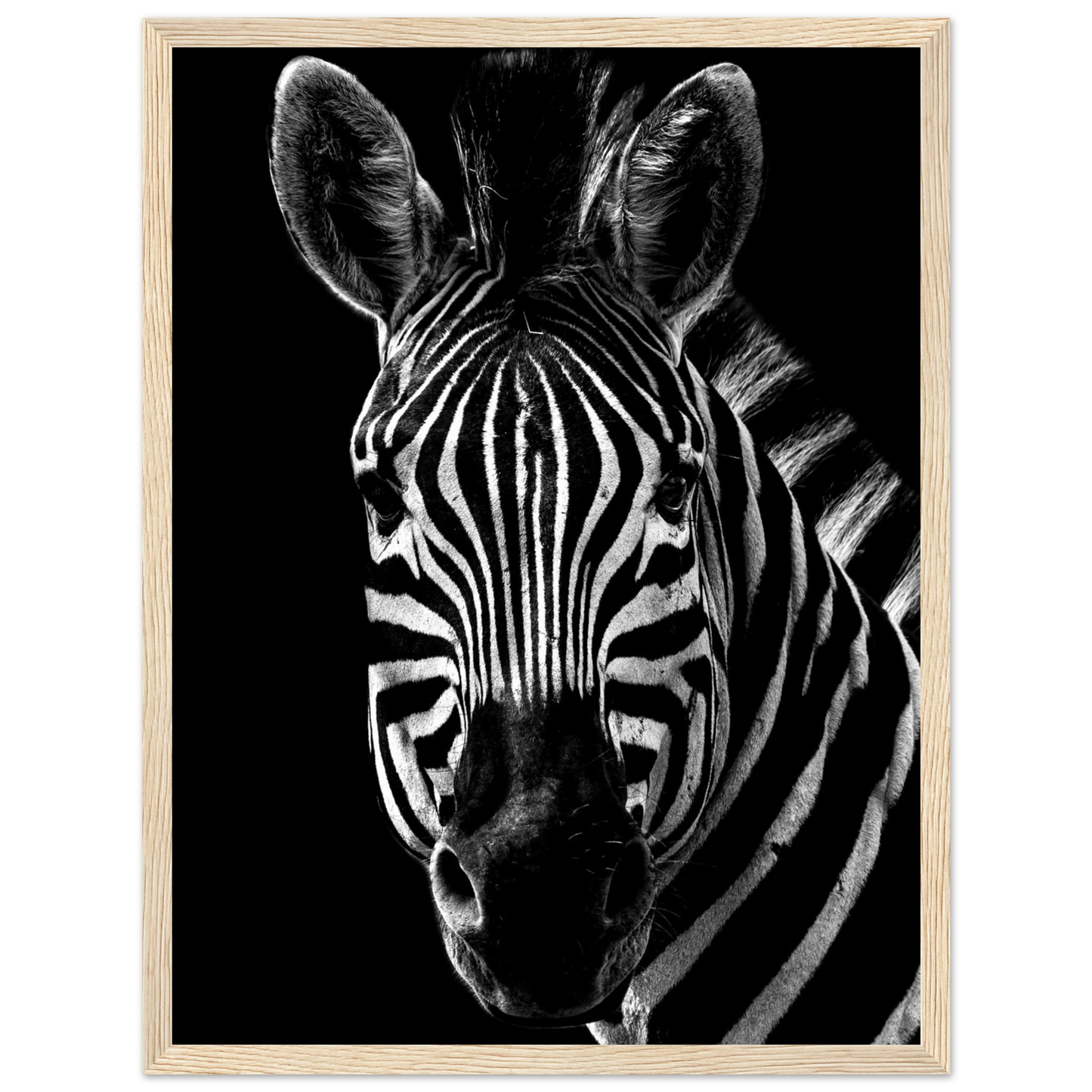 Zebra - Poster - Arthena