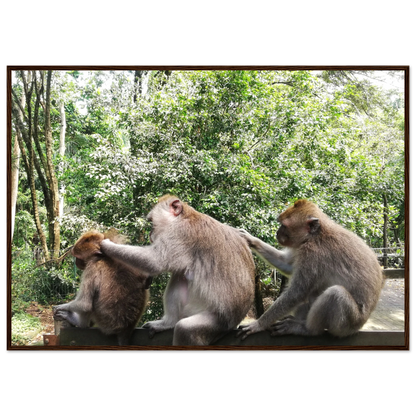 Monkey Scratchers - Poster - Arthena