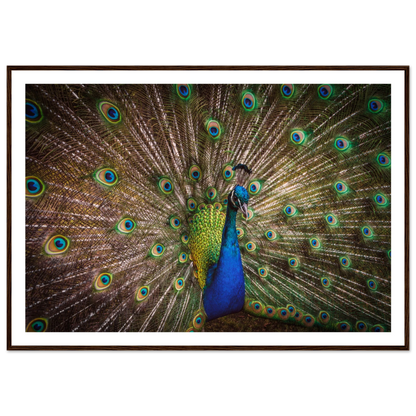 Crown of feathers - Poster - Arthena