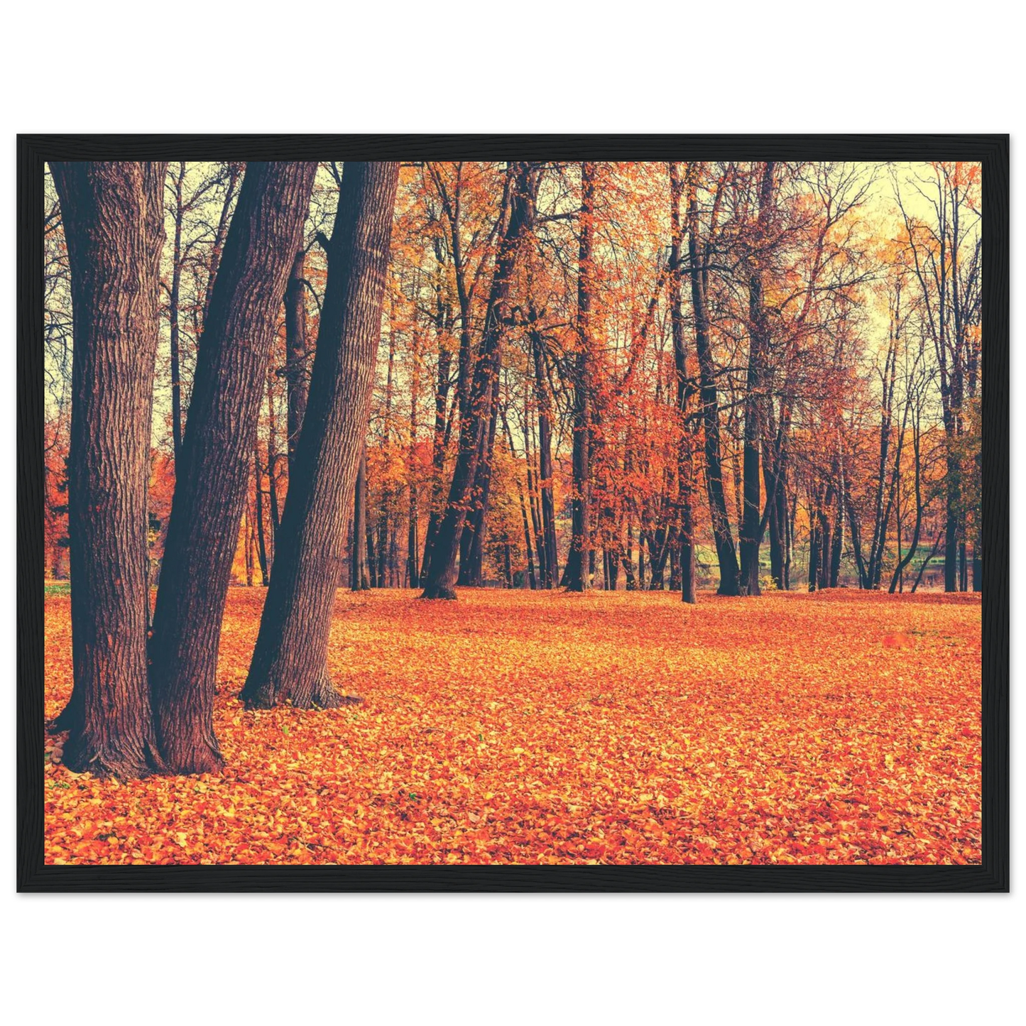 Autumn Carpet - Poster - Arthena