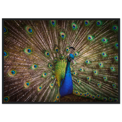 Crown of feathers - Poster - Arthena