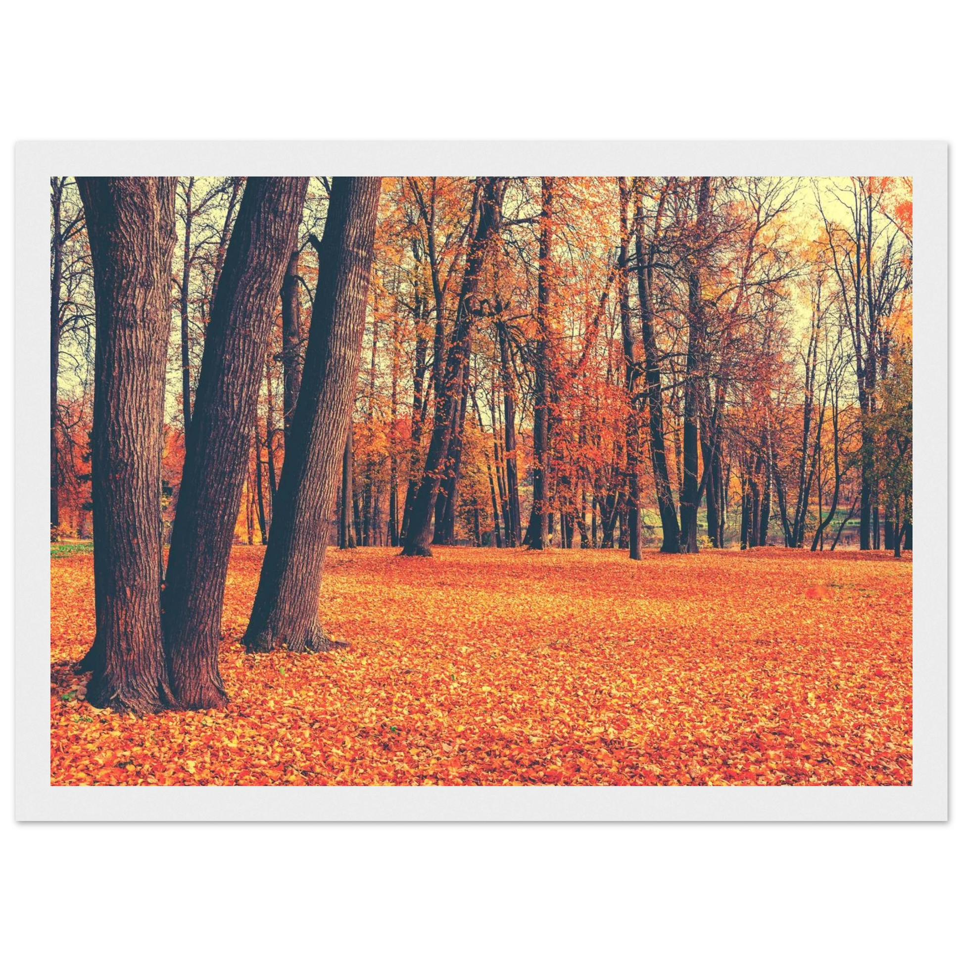 Autumn Carpet - Poster - Arthena