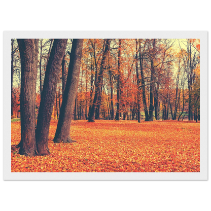 Autumn Carpet - Poster - Arthena