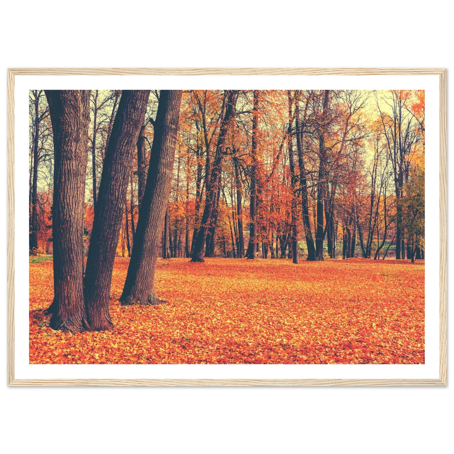 Autumn Carpet - Poster - Arthena