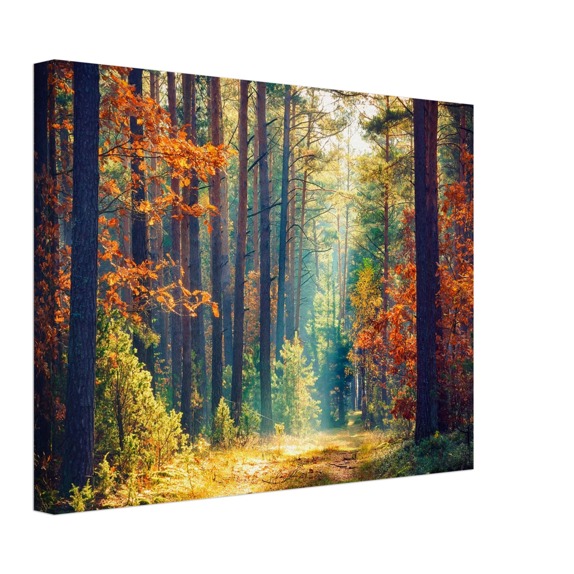 Path of autumn glow - Canvas - Arthena