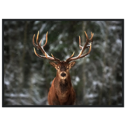 Stag in snow - Poster - Arthena