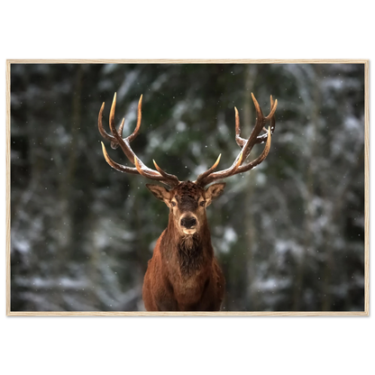 Stag in snow - Poster - Arthena