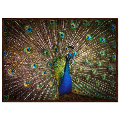 Crown of feathers - Poster - Arthena