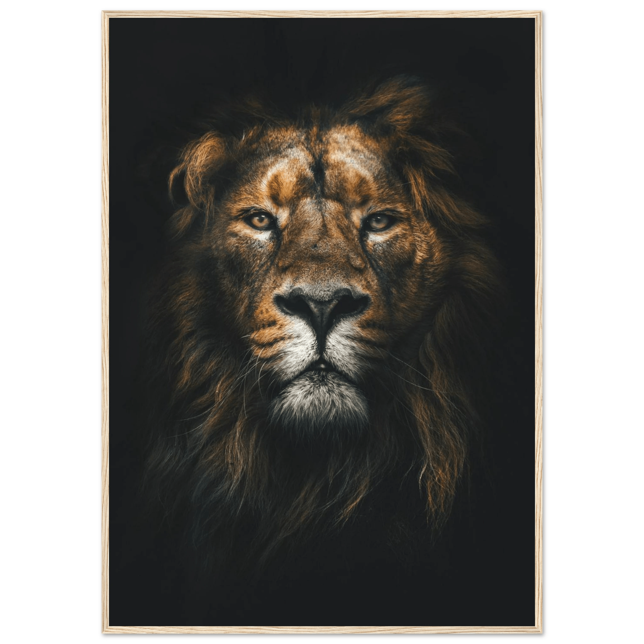 Lion King - Poster - Arthena