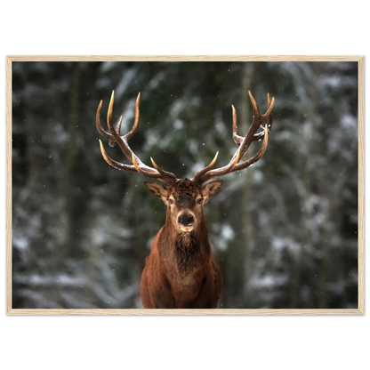 Stag in snow - Poster - Arthena