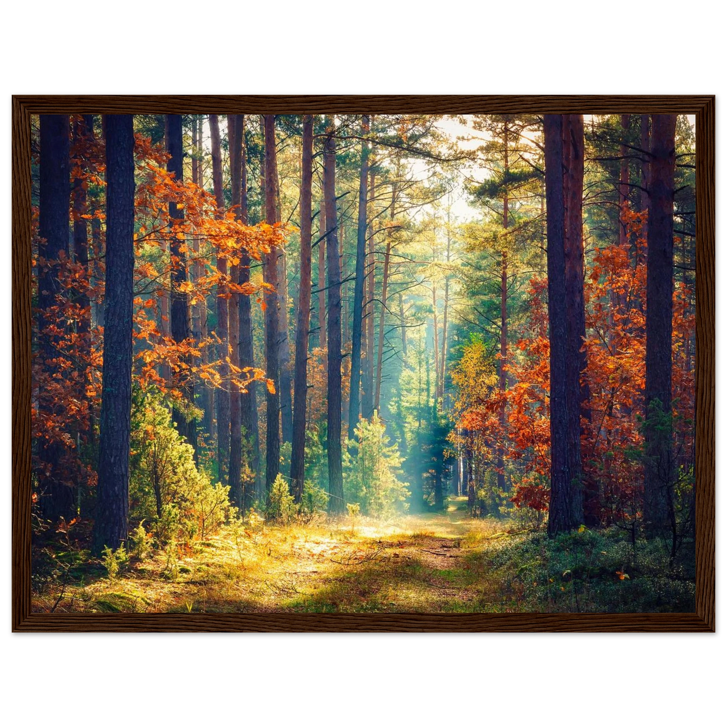 Path of Autumn Glow - Poster - Arthena