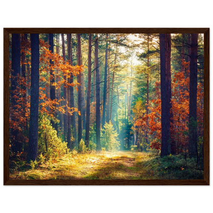 Path of Autumn Glow - Poster - Arthena