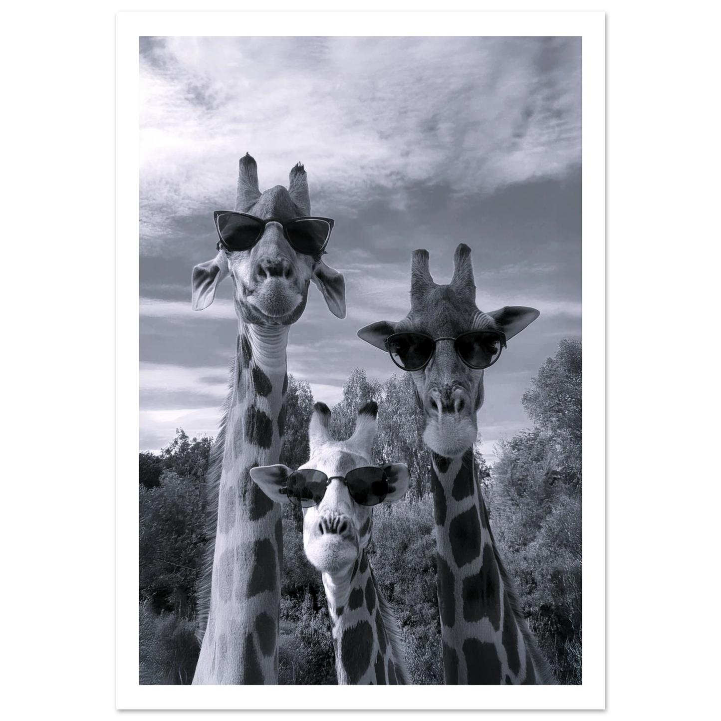A Sunny Day to be a Giraffe - Poster - Arthena