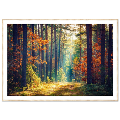 Path of Autumn Glow - Poster - Arthena