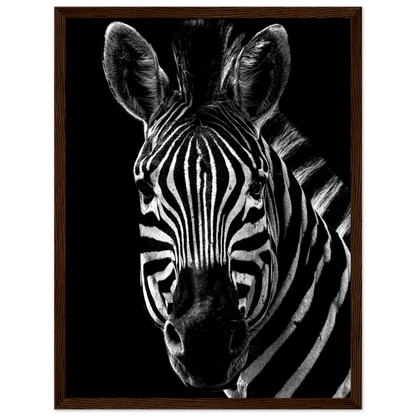Zebra - Poster - Arthena