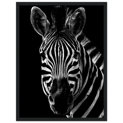 Zebra - Poster - Arthena