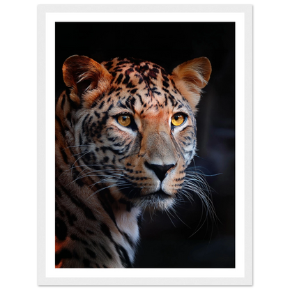 Leopard - Poster - Arthena