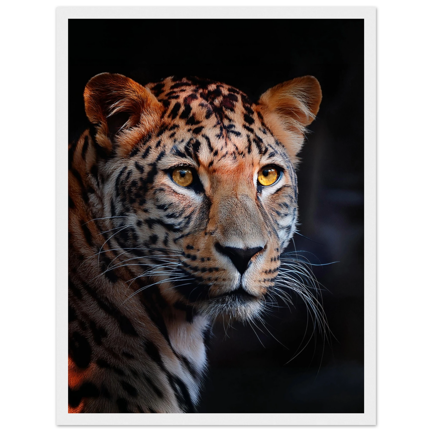 Leopard - Poster - Arthena