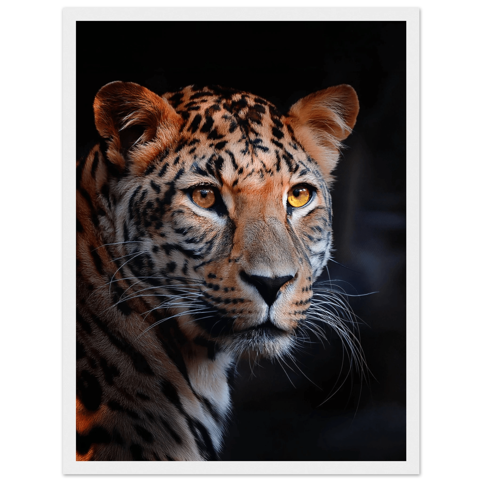 Leopard - Poster - Arthena