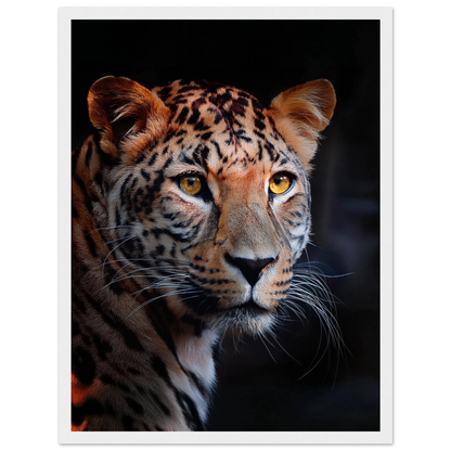 Leopard - Poster - Arthena