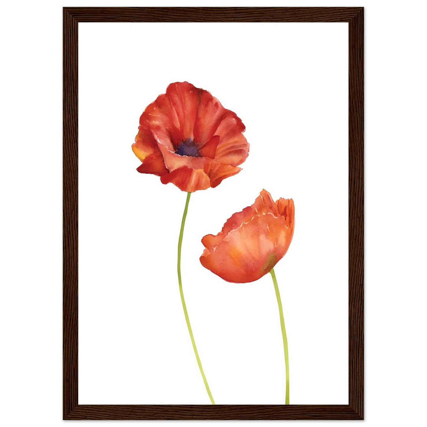 Watercolor Red Poppies - Poster - Arthena