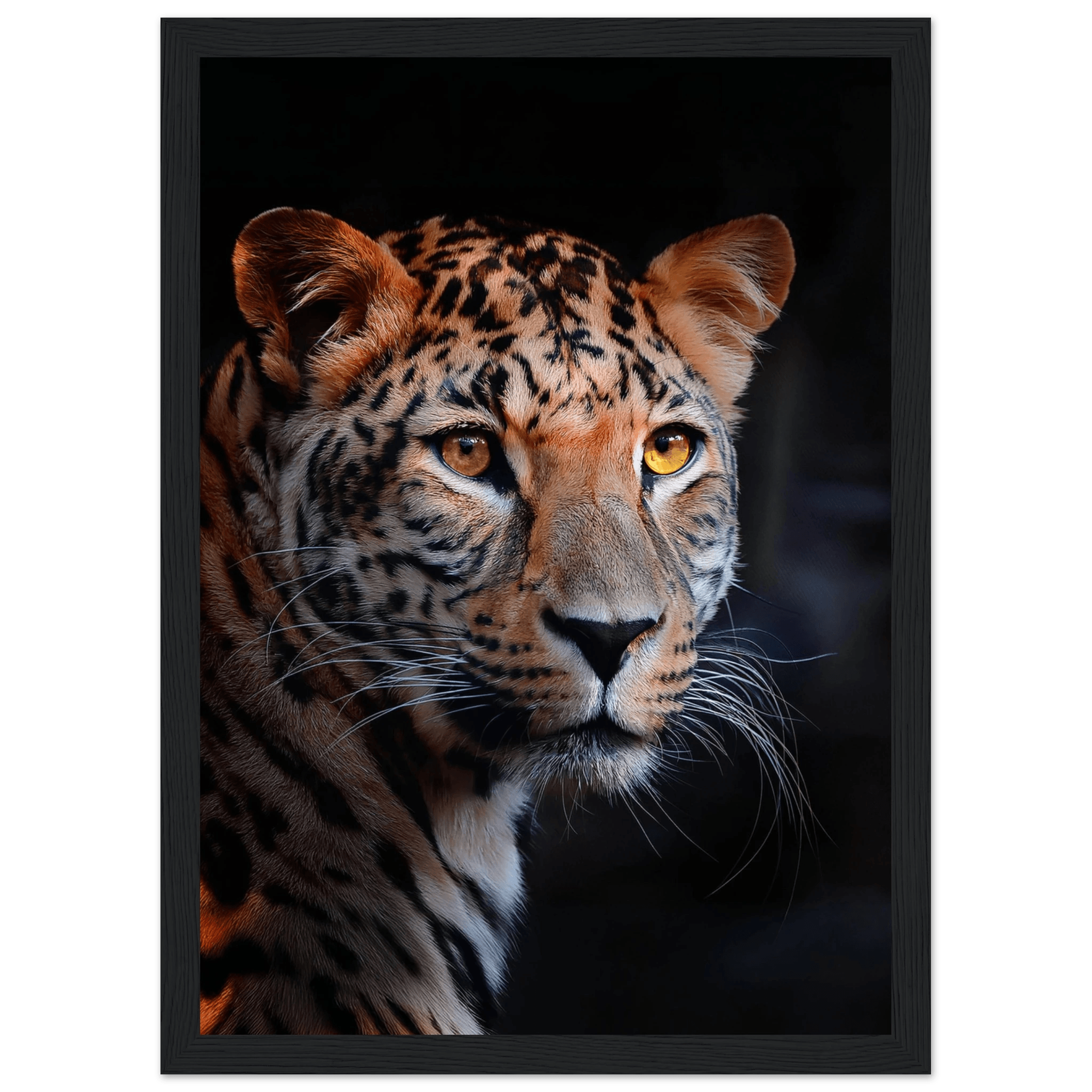 Leopard - Poster - Arthena