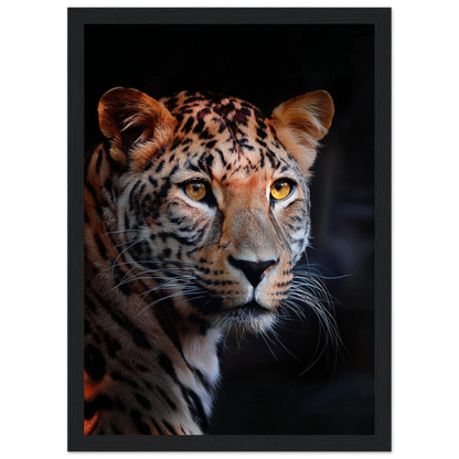 Leopard - Poster - Arthena