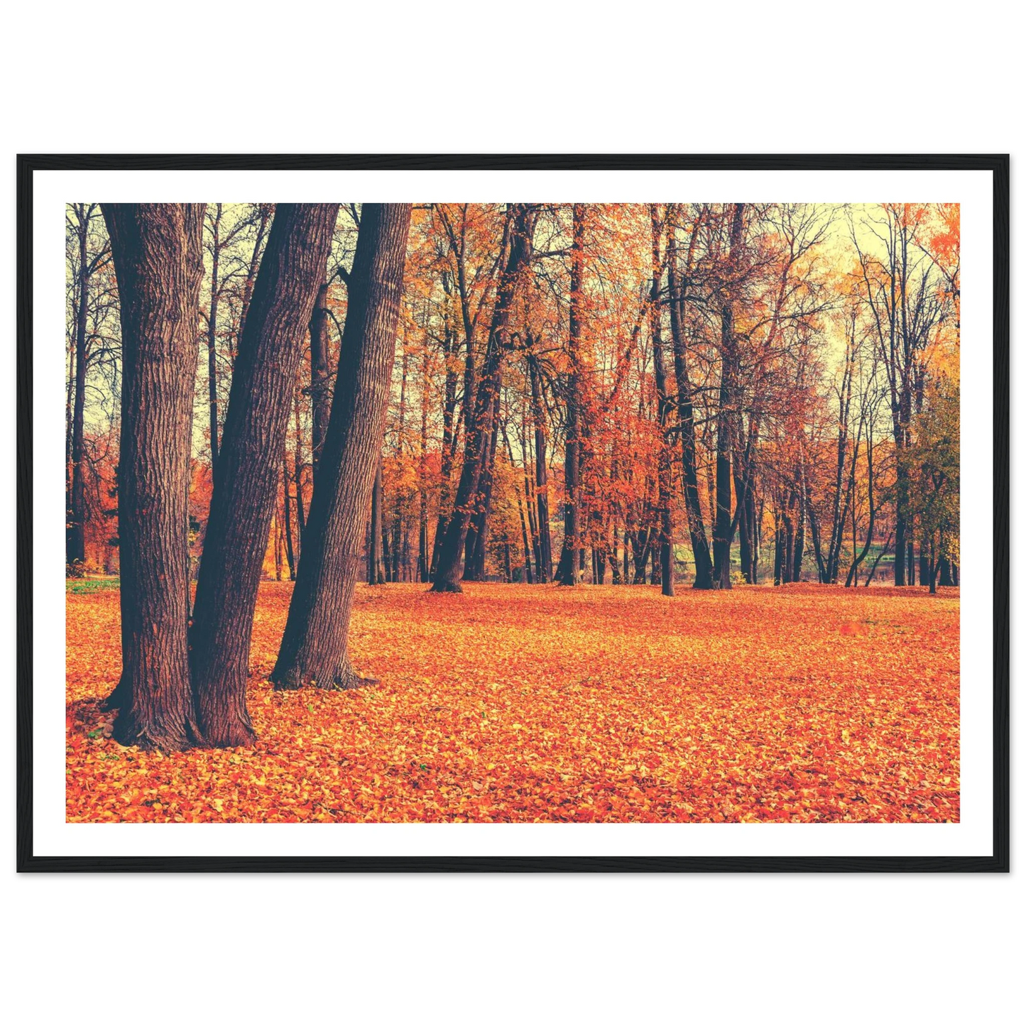 Autumn Carpet - Poster - Arthena