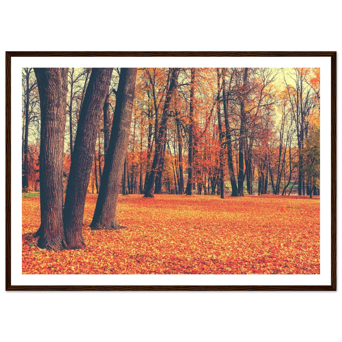Autumn Carpet - Poster - Arthena
