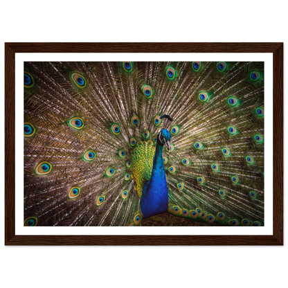 Crown of feathers - Poster - Arthena