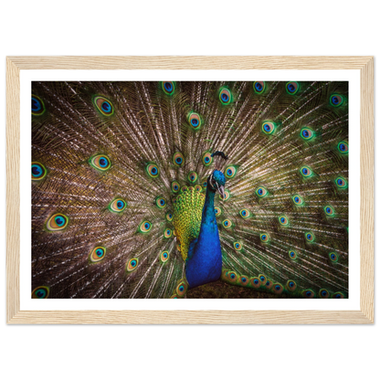Crown of feathers - Poster - Arthena