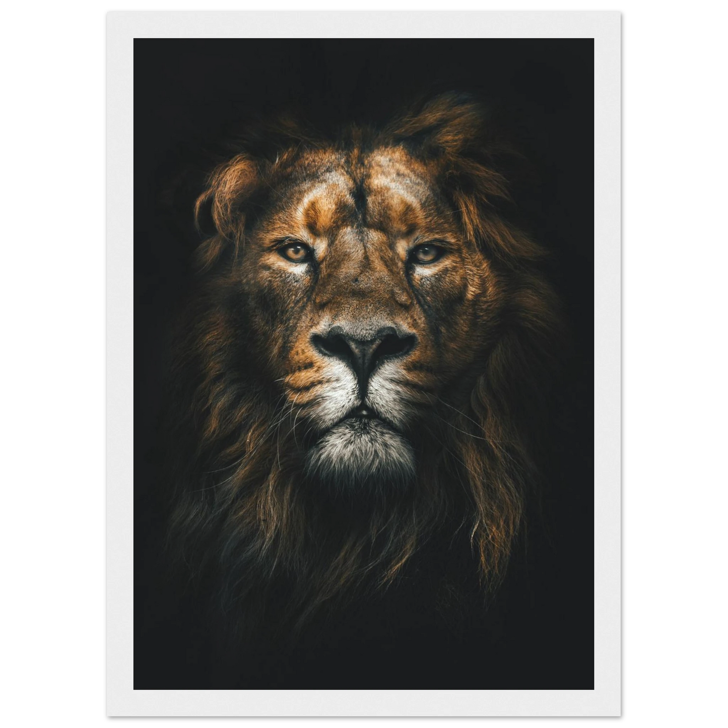 Lion King - Poster - Arthena