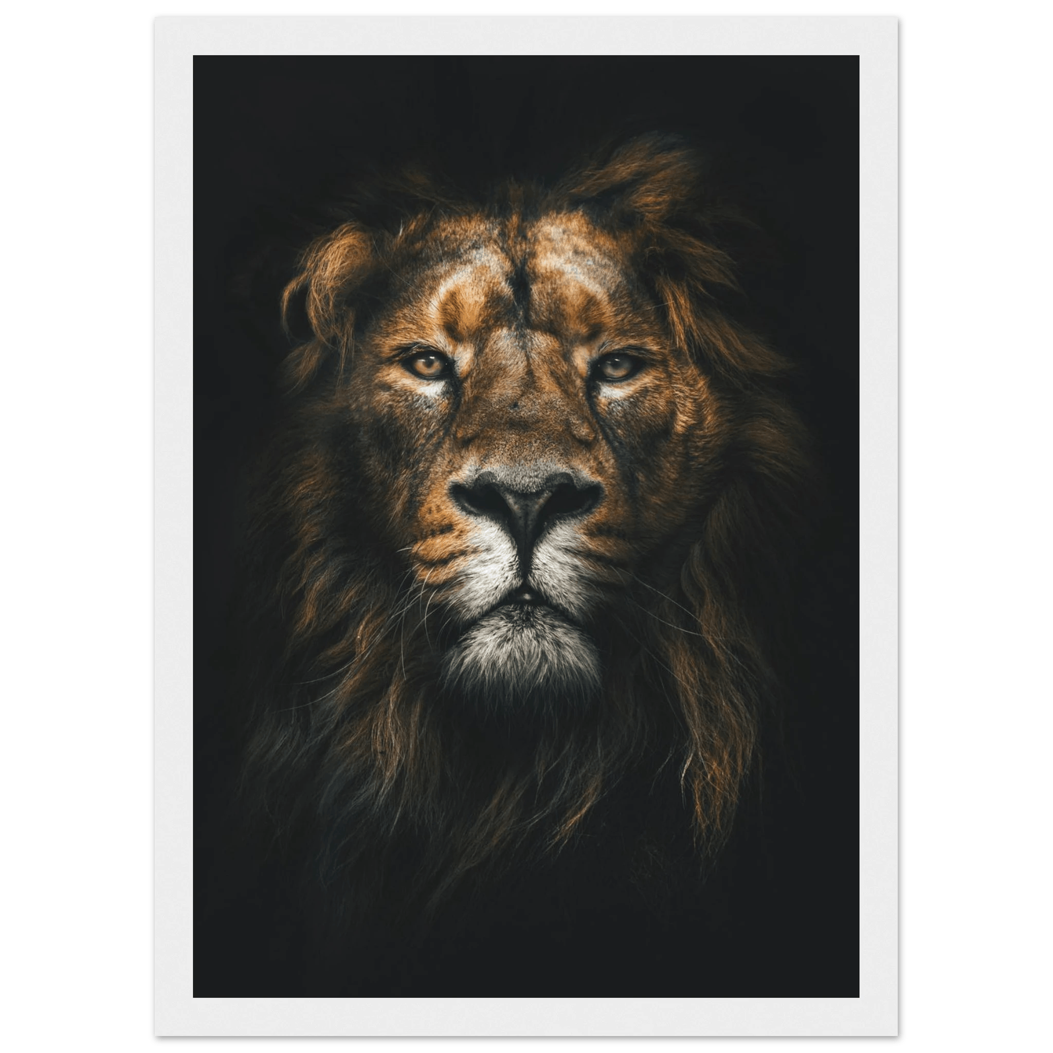 Lion King - Poster - Arthena