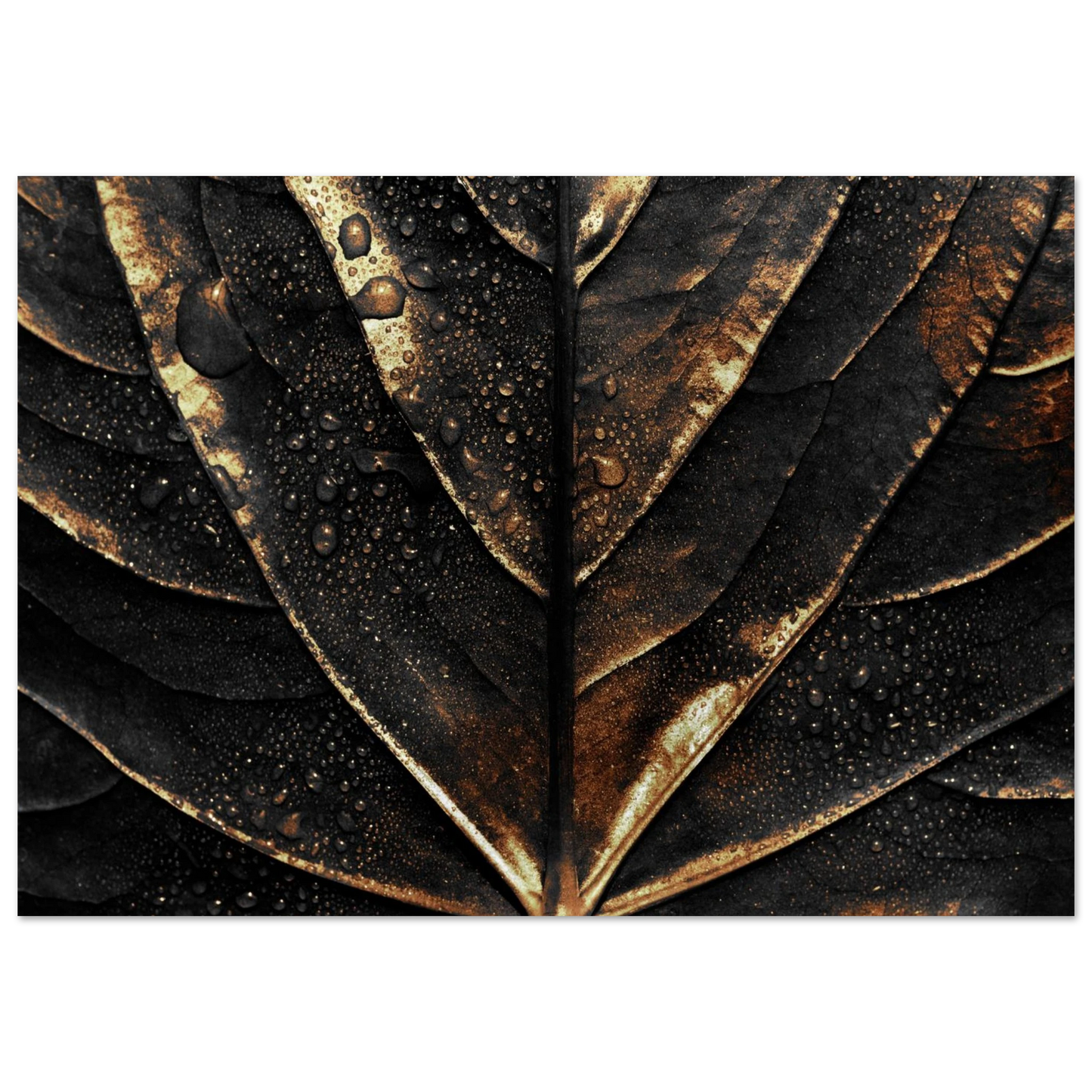 Gold Veins - Poster - Arthena