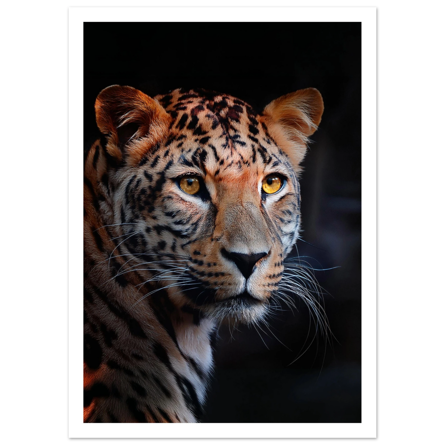 Leopard - Poster - Arthena