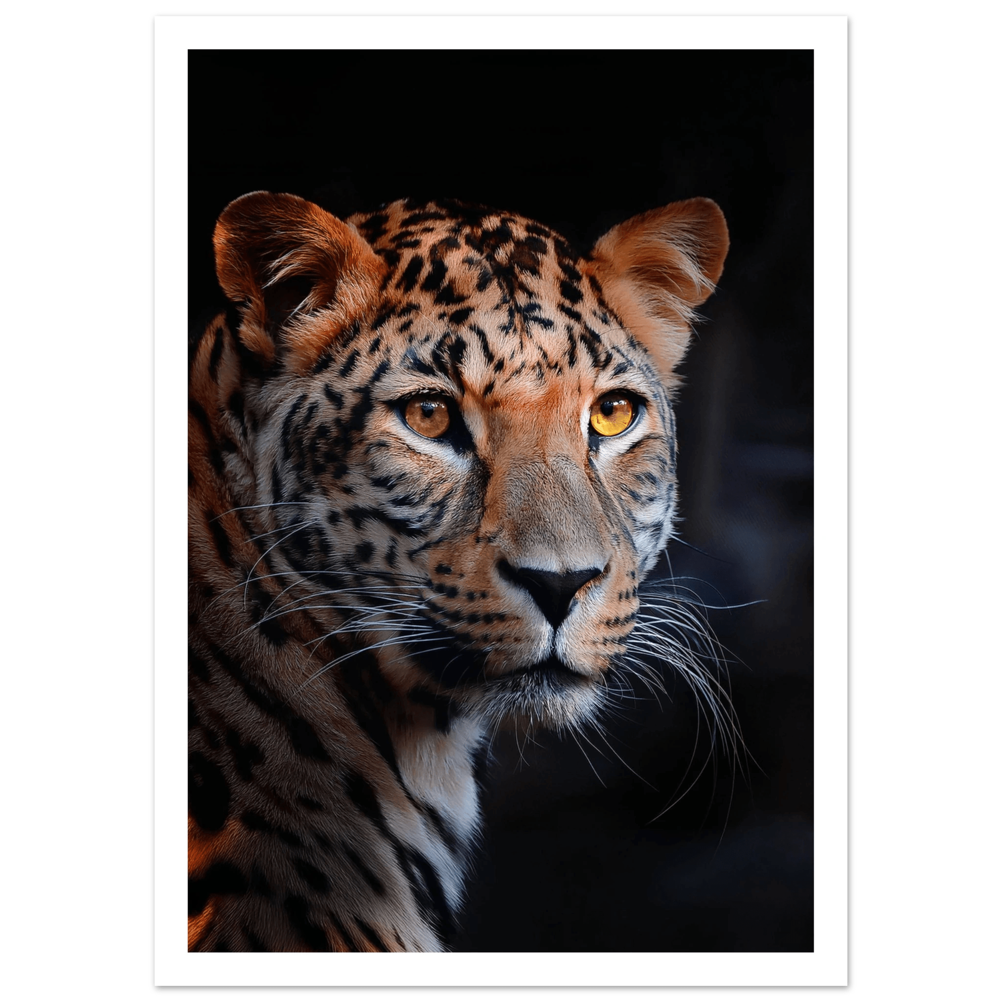 Leopard - Poster - Arthena