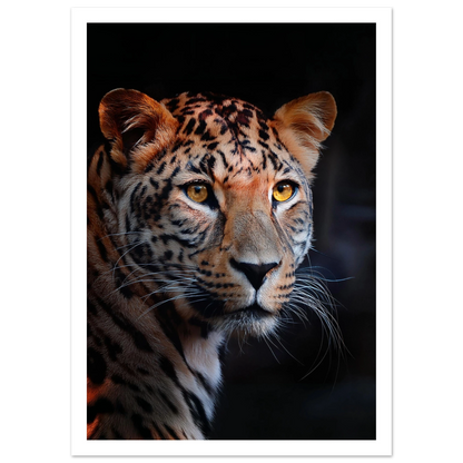 Leopard - Poster - Arthena