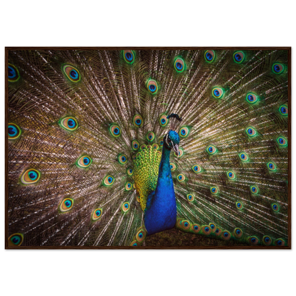 Crown of feathers - Poster - Arthena