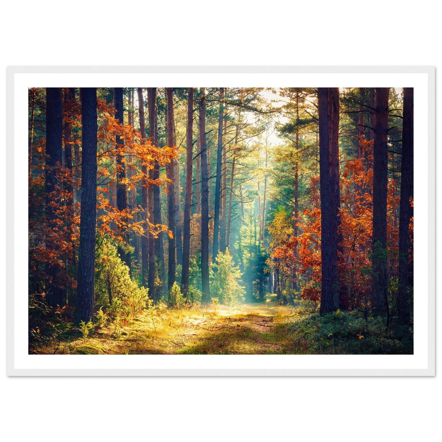 Path of Autumn Glow - Poster - Arthena