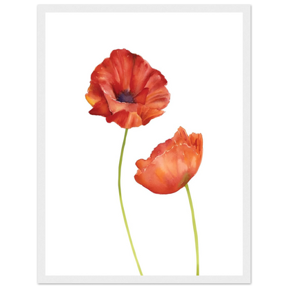 Watercolor Red Poppies - Poster - Arthena