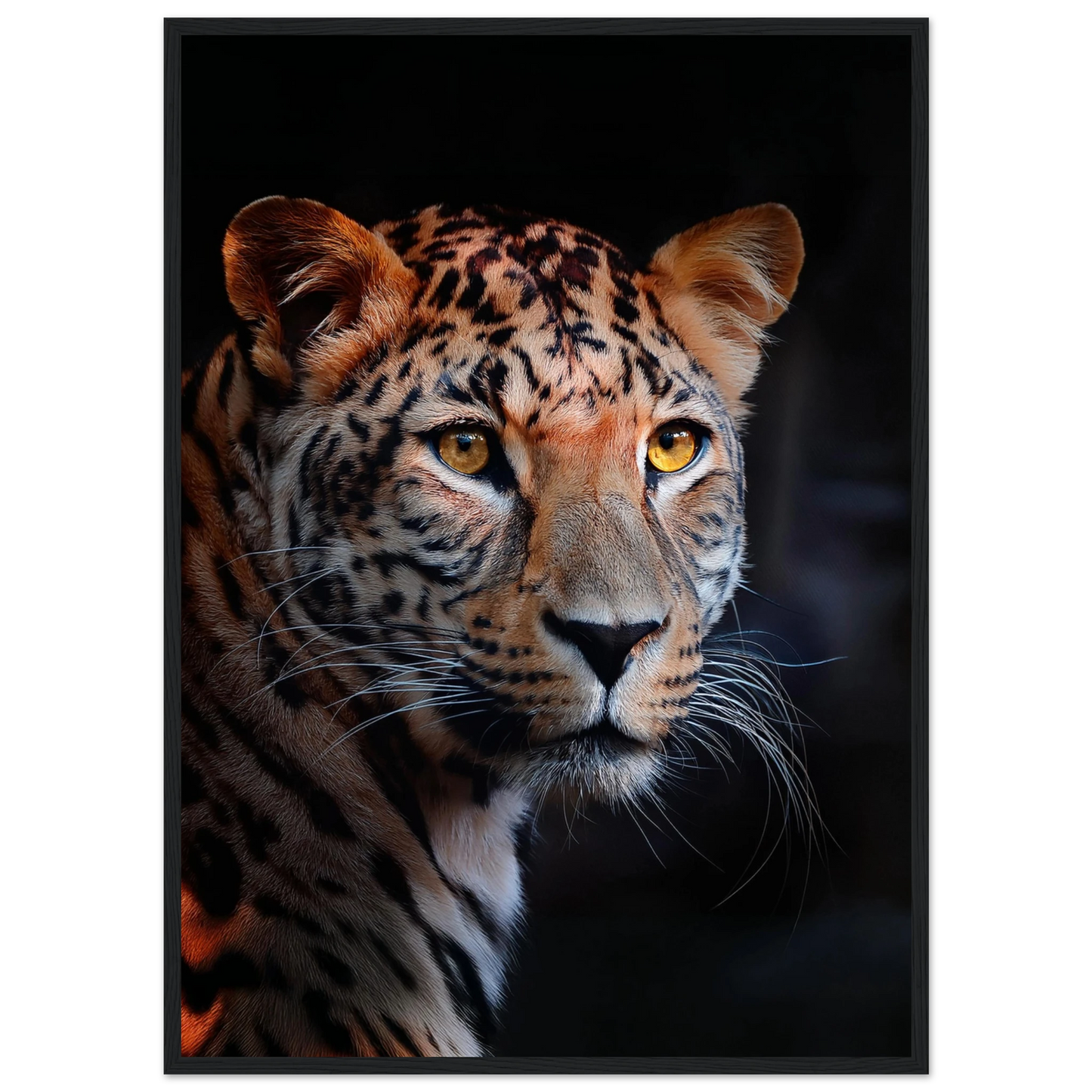 Leopard - Poster - Arthena