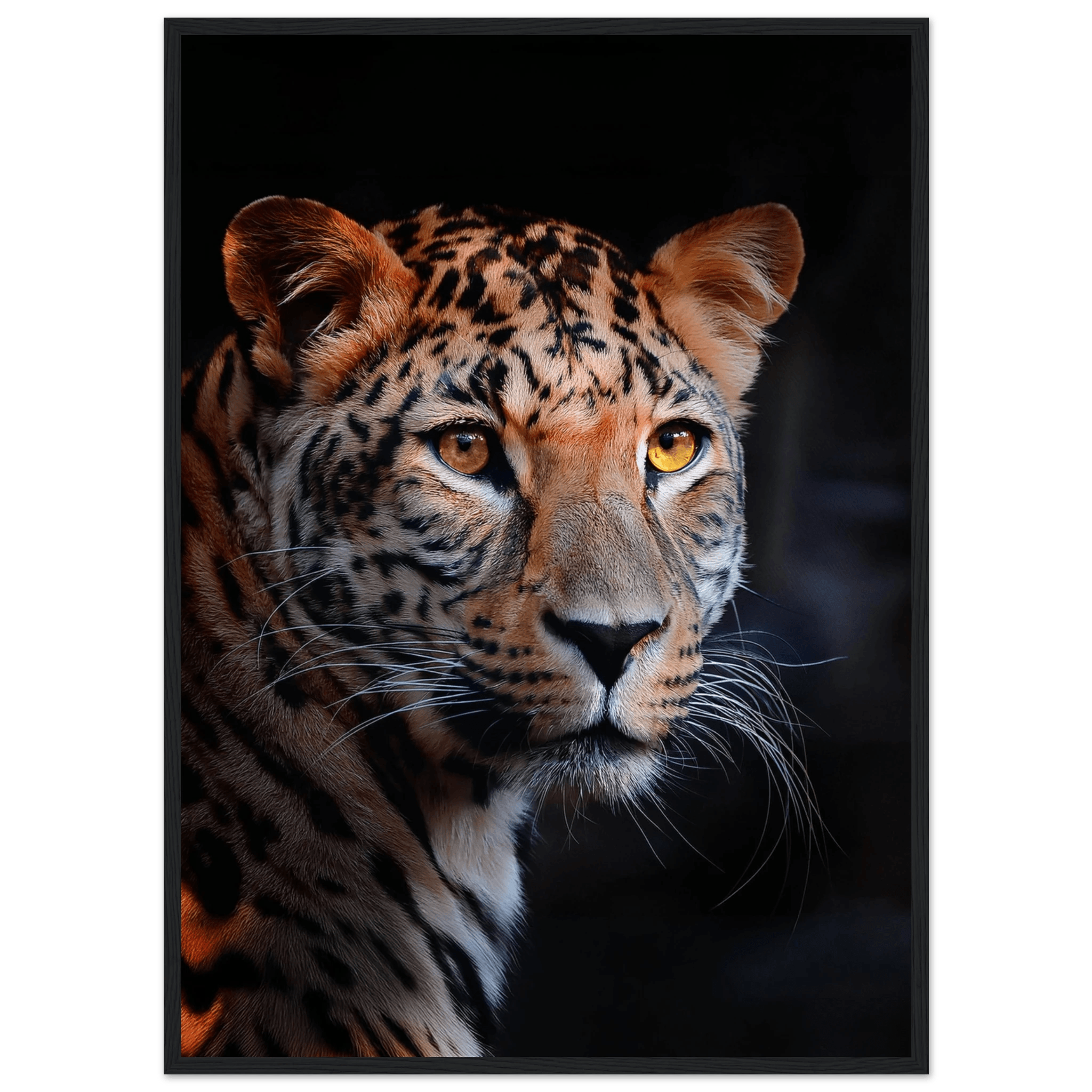 Leopard - Poster - Arthena