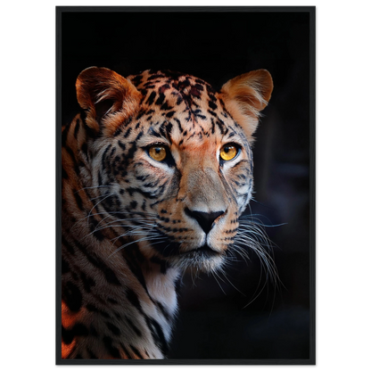 Leopard - Poster - Arthena