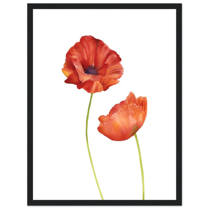 Watercolor Red Poppies - Poster - Arthena
