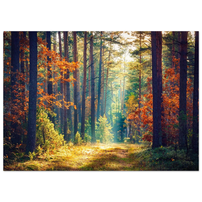 Path of Autumn Glow - Poster - Arthena