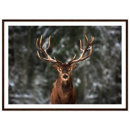 Stag in snow - Poster - Arthena
